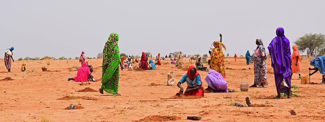 Sudan Women Farmers 